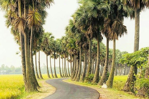 Bangladesh village tour