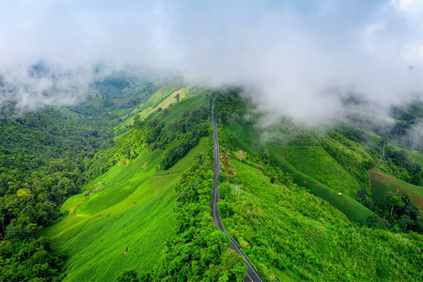 Sreemangal eco tourism