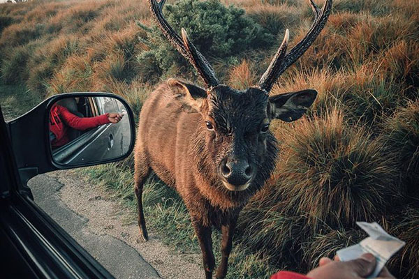 bangladesh sundarban tour
